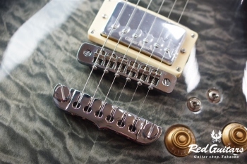 PE-480 - See-through Black Burst